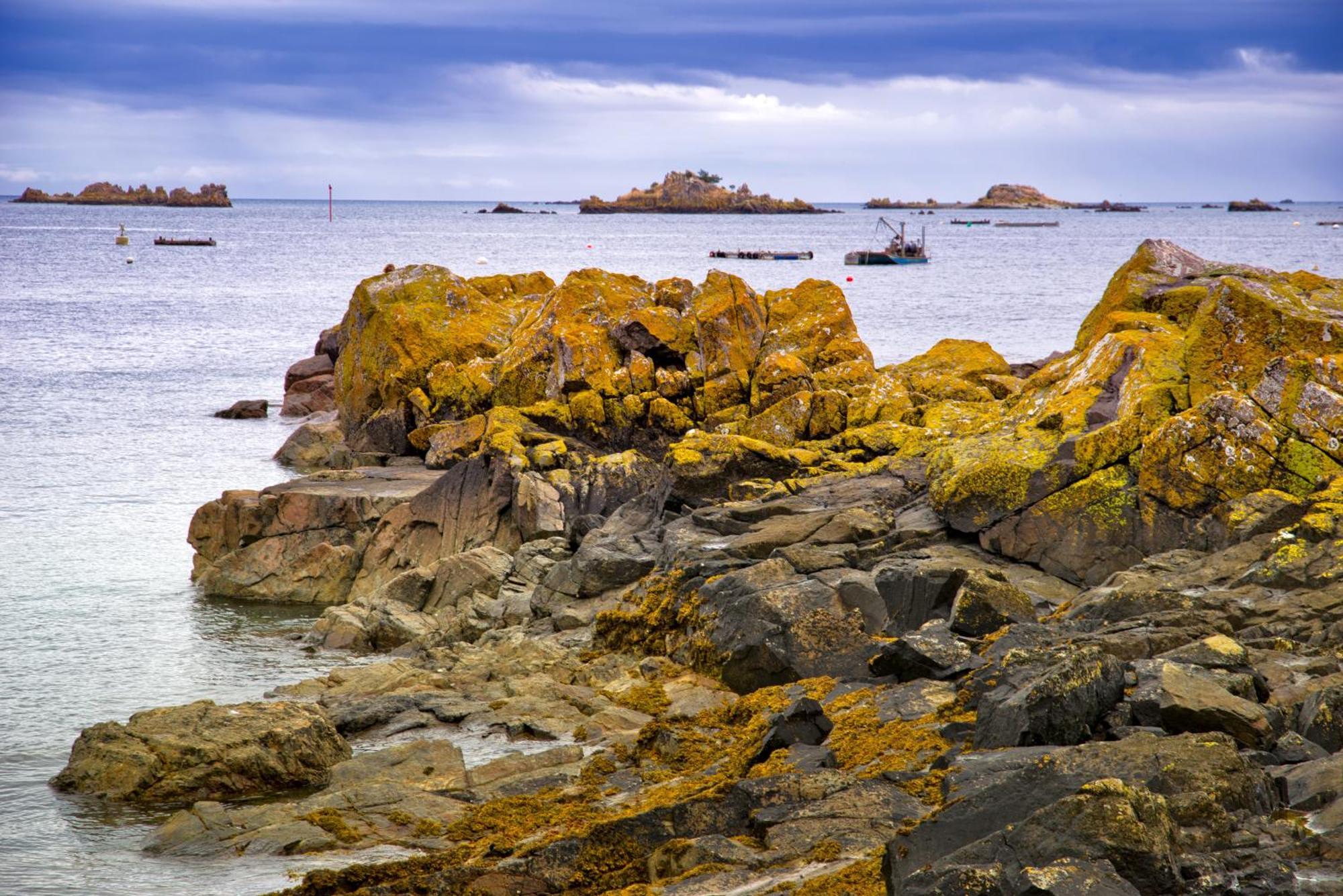 Gite Paimpol Le Loarwenn Exteriér fotografie